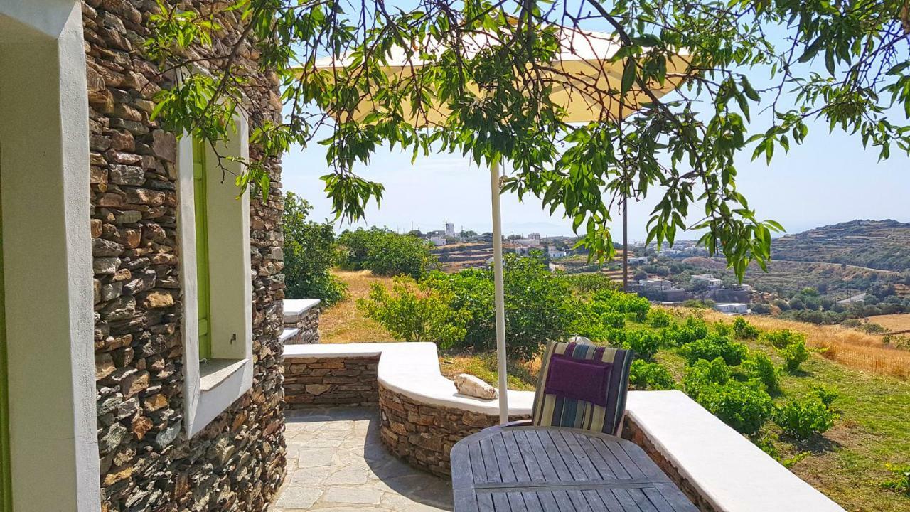 Cycladic Vineyard House בית נופש