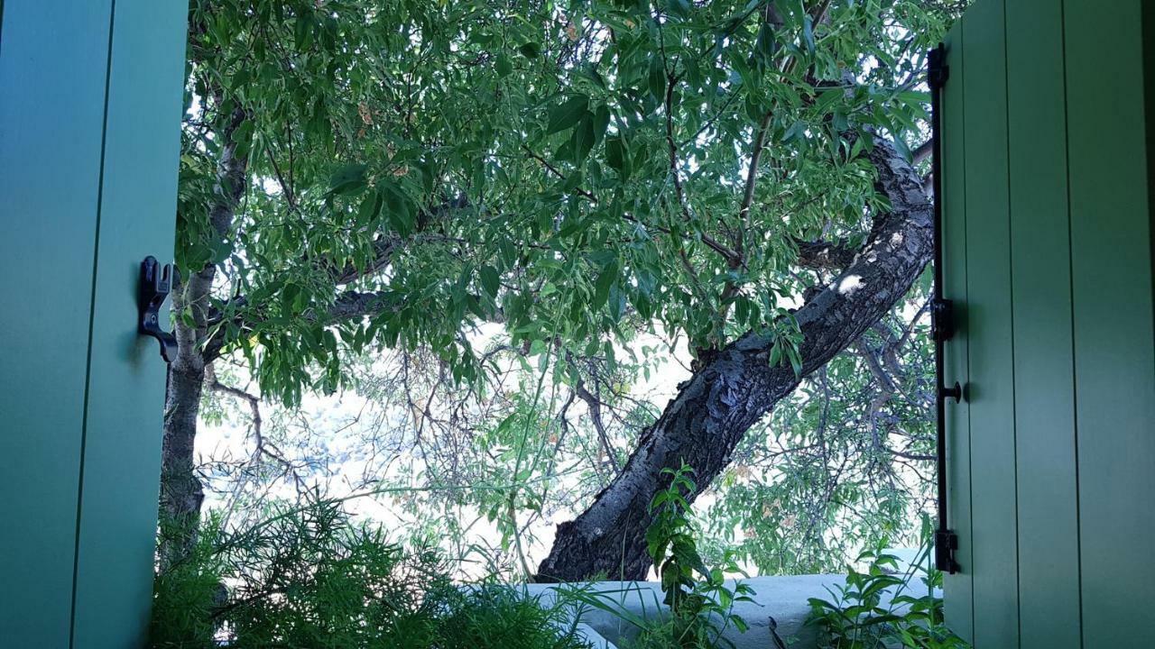 Cycladic Vineyard House בית נופש אפולוניה
